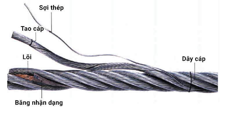 Cấu tạo cáp thang máy